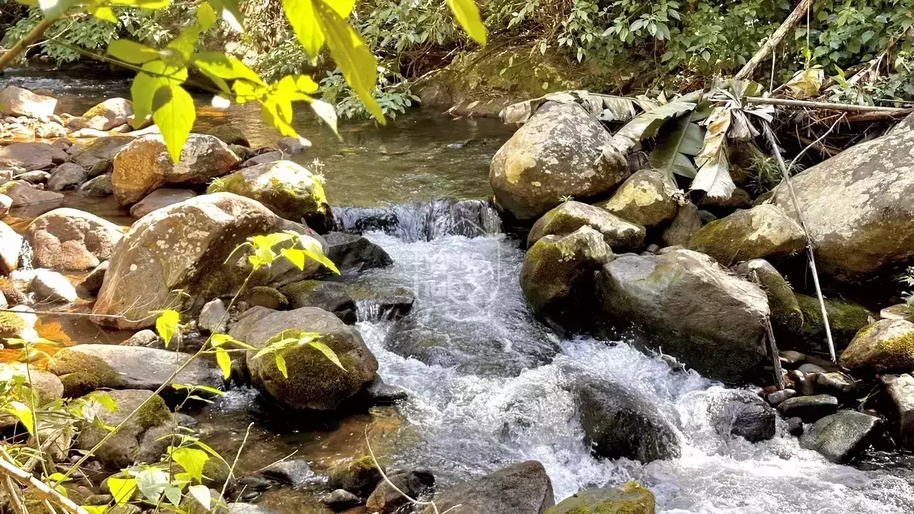 Foto 14