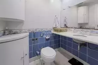Miniatura 9