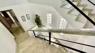 Miniatura 11