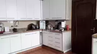 Miniatura 12