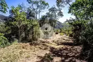 Miniatura 14