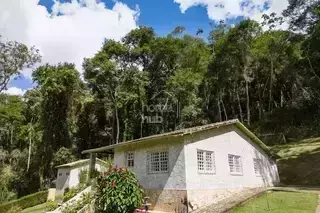 Miniatura 10