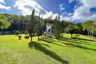 Miniatura 12