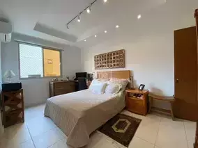 Miniatura 12