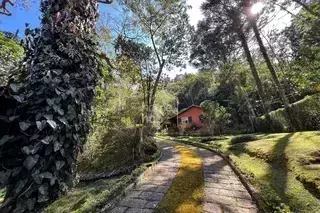 Miniatura 12