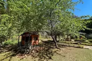 Miniatura 14