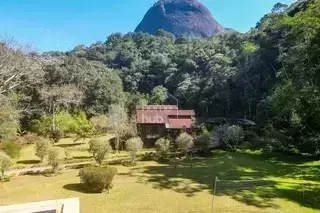 Miniatura 24