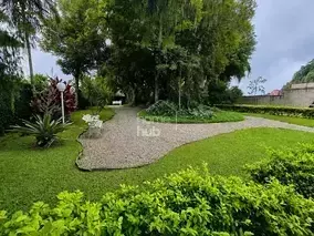 Miniatura 23