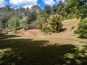 Miniatura 17