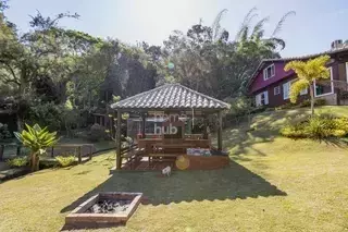 Miniatura 19