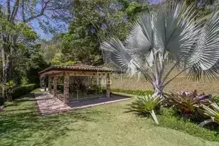 Miniatura 12