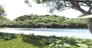 Miniatura 12