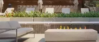 Miniatura 14