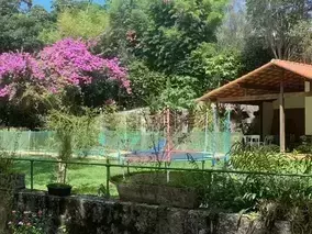 Miniatura 10