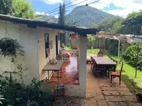 Miniatura 31