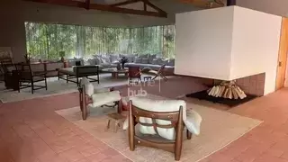Miniatura 14