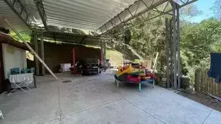 Miniatura 13