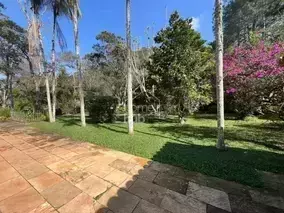 Miniatura 10