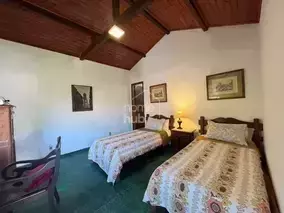 Miniatura 37