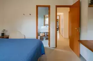 Miniatura 25