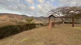 Miniatura 13