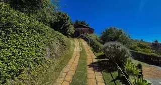 Miniatura 17