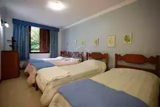 Miniatura 23