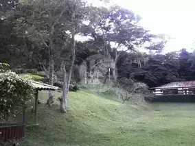 Miniatura 10