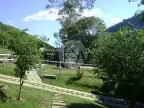 Miniatura 11