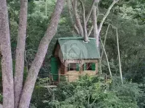 Miniatura 12