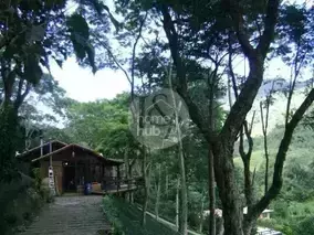 Miniatura 13