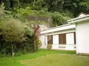 Miniatura 11